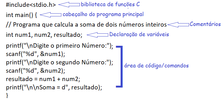 Anatomia